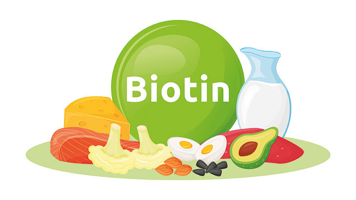 Biotin Takviyesi nedir?